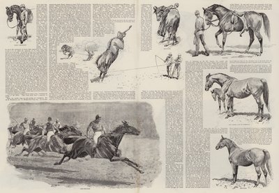 La Carrera de un Pura Sangre de John Charlton